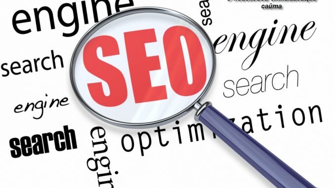 SEO оптимизация