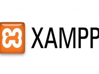 Устанавливаем локальный сервер xampp