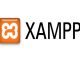 Устанавливаем локальный сервер xampp